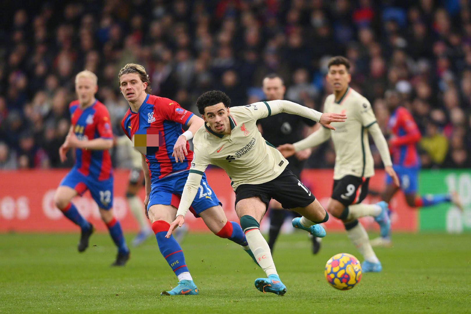 系统训练 系统训练